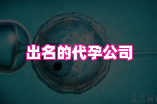 试管助孕网站 4